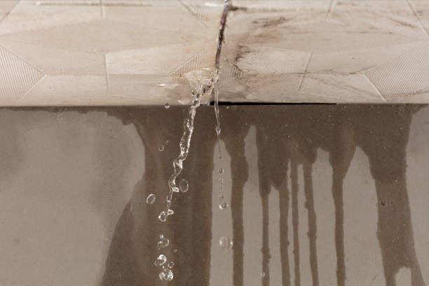 Professional Burst Pipe Cleanup technician working in Pittsfield, NH
